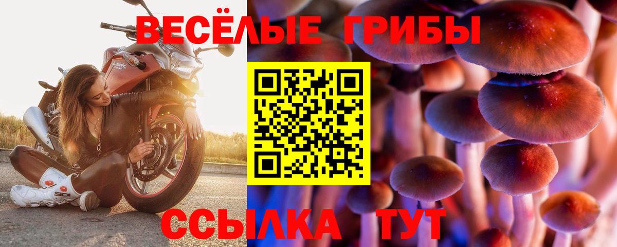 Псилоцибиновые грибы Psilocybe  Галлюциногенные грибы прущие грибы  Усинск  Вход с VPN 